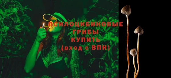 a pvp Алзамай