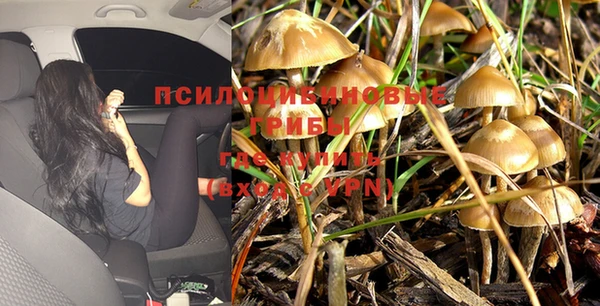 a pvp Алзамай