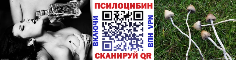 купить наркотик  blacksprut ССЫЛКА  Псилоцибиновые грибы ЛСД  Алексеевка 