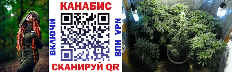 где можно купить наркотик  blacksprut зеркало  Шишки марихуана план  Алексеевка 